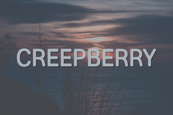 Creepberry: A Modern Sans Serif Font for Elegant Branding and Logo Design