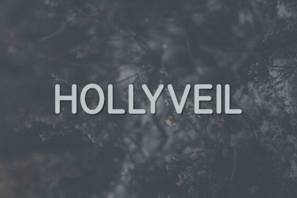 Hollyveil: A Modern Sans Serif Font for Handmade Labels, Invitations, and Shop Branding
