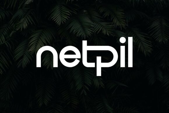 Netpil: A Bold Sans Serif Font for Modern Web Design and Digital Branding