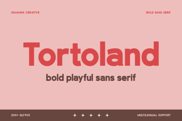 Tortoland: A Bold Sans Serif Font for Confident Branding